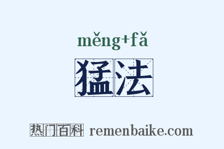 猛法是什么意思的图片